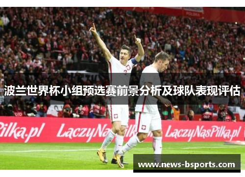 波兰世界杯小组预选赛前景分析及球队表现评估