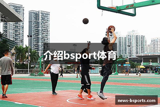 介绍bsport体育